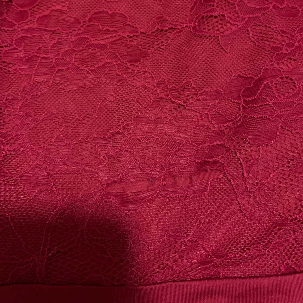 Suffolk Lace Leotard View 2